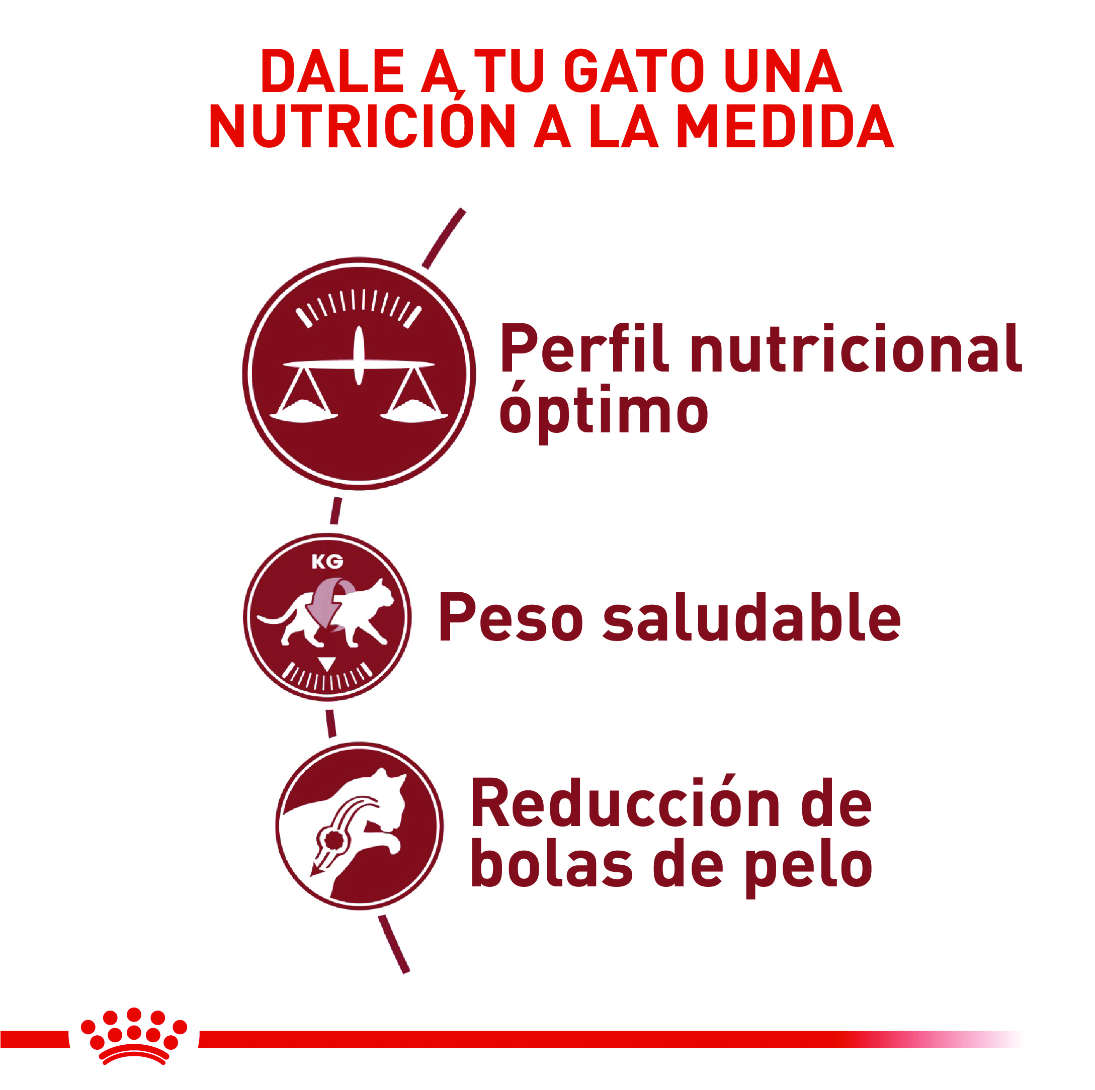 Royal Canin Regular Fit 2 Royal Canin Regular Fit - imagen 2