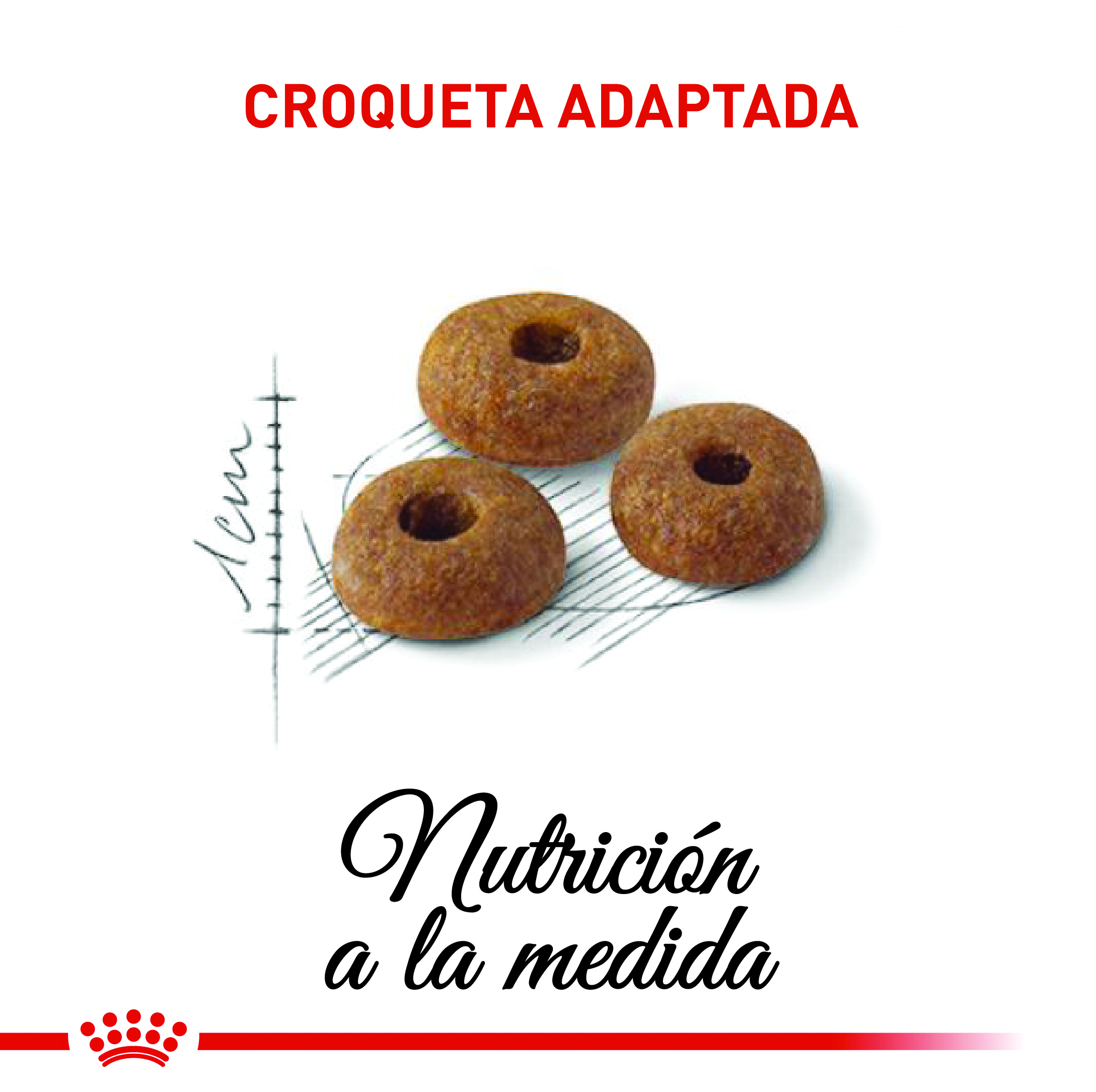 Royal Canin Regular Fit 9 Royal Canin Regular Fit - imagen 9