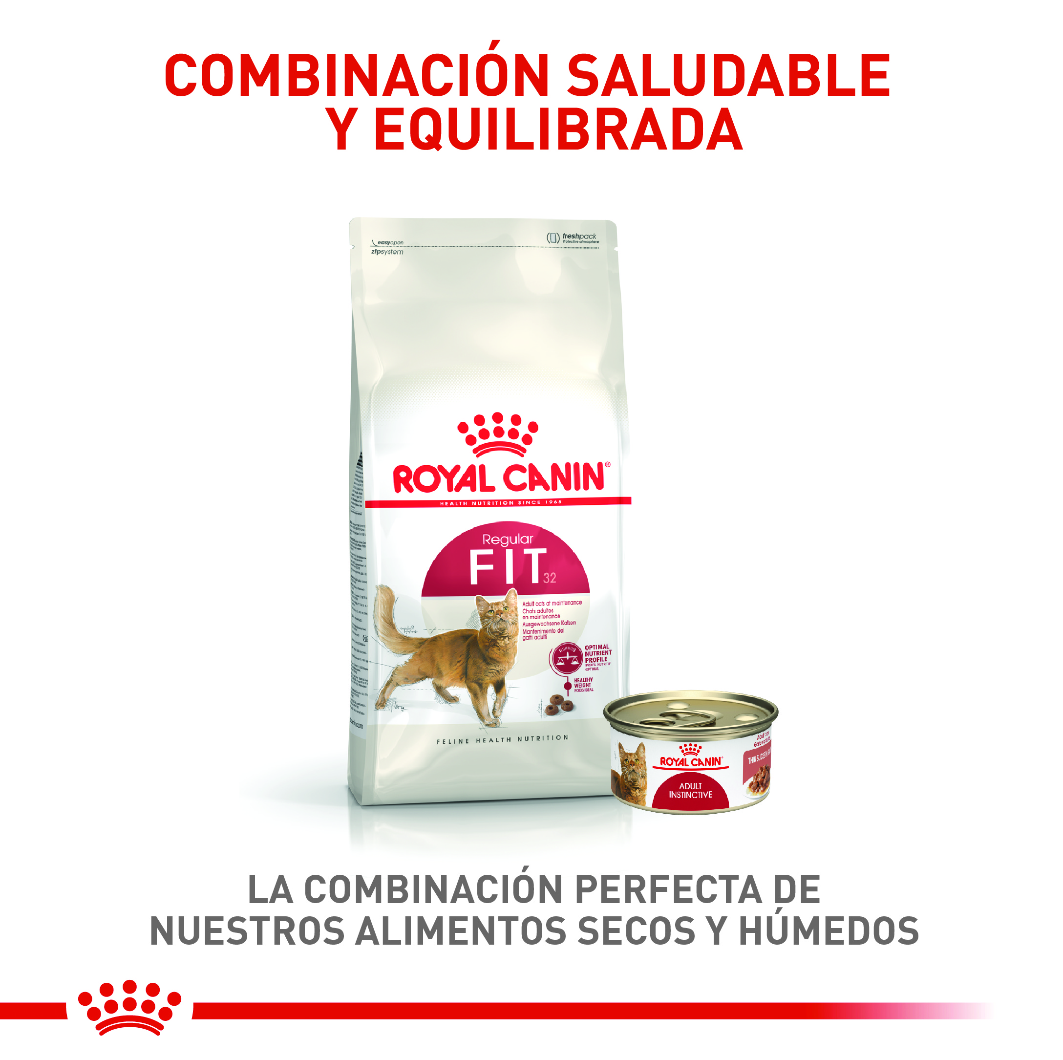 Royal Canin Regular Fit 10 Royal Canin Regular Fit - imagen 10