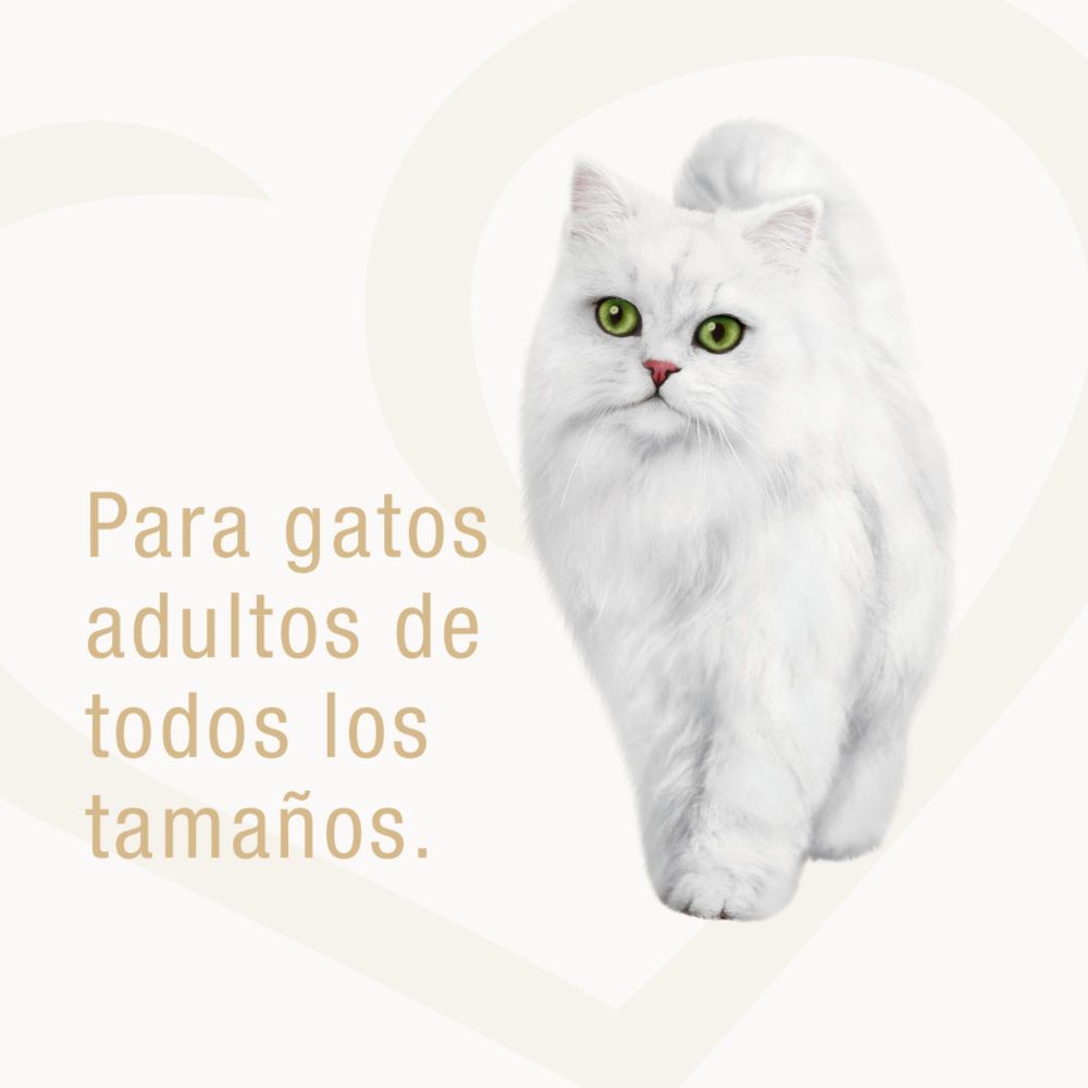Fancy Feast Petits Filets Pollo y Queso Gato 3 oz 5 Fancy Feast Petits Filets pollo y queso para gato 3 oz