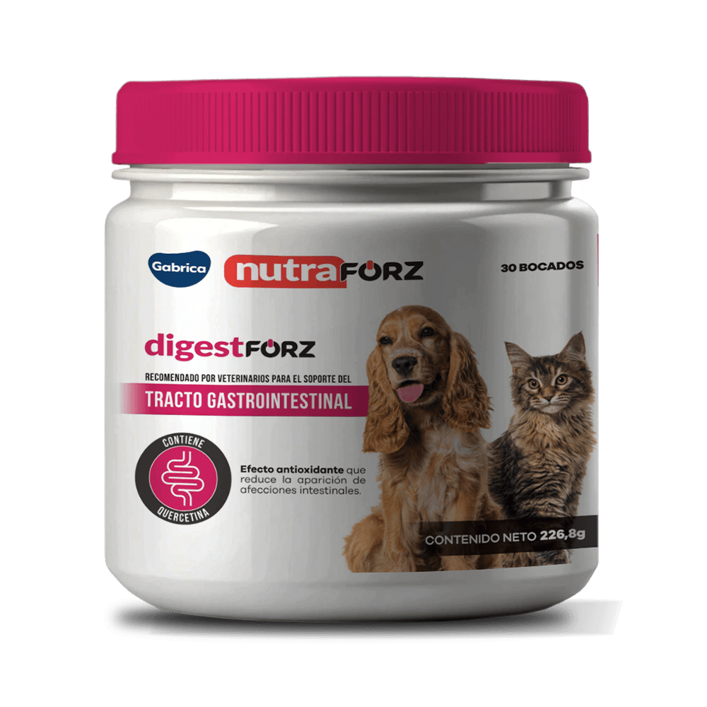 Digesforz Suplemento Digestivo Perro y Gato 30 Masticables 1 Digesforz suplemento digestivo para perro y gato 30 masticables