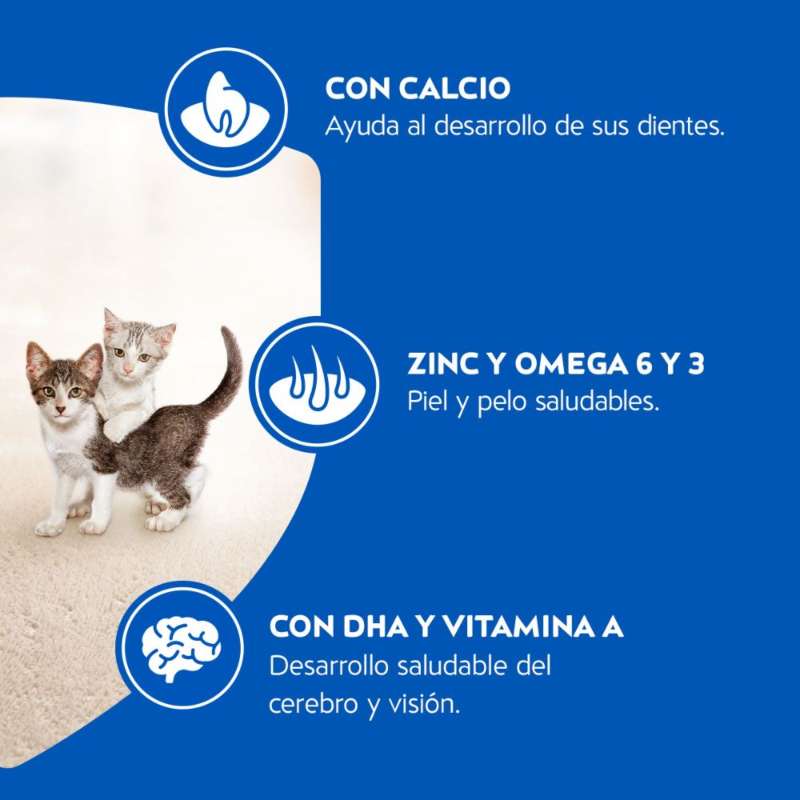 Cat Chow Gatitos 10 Cat Chow Gatitos - imagen 10