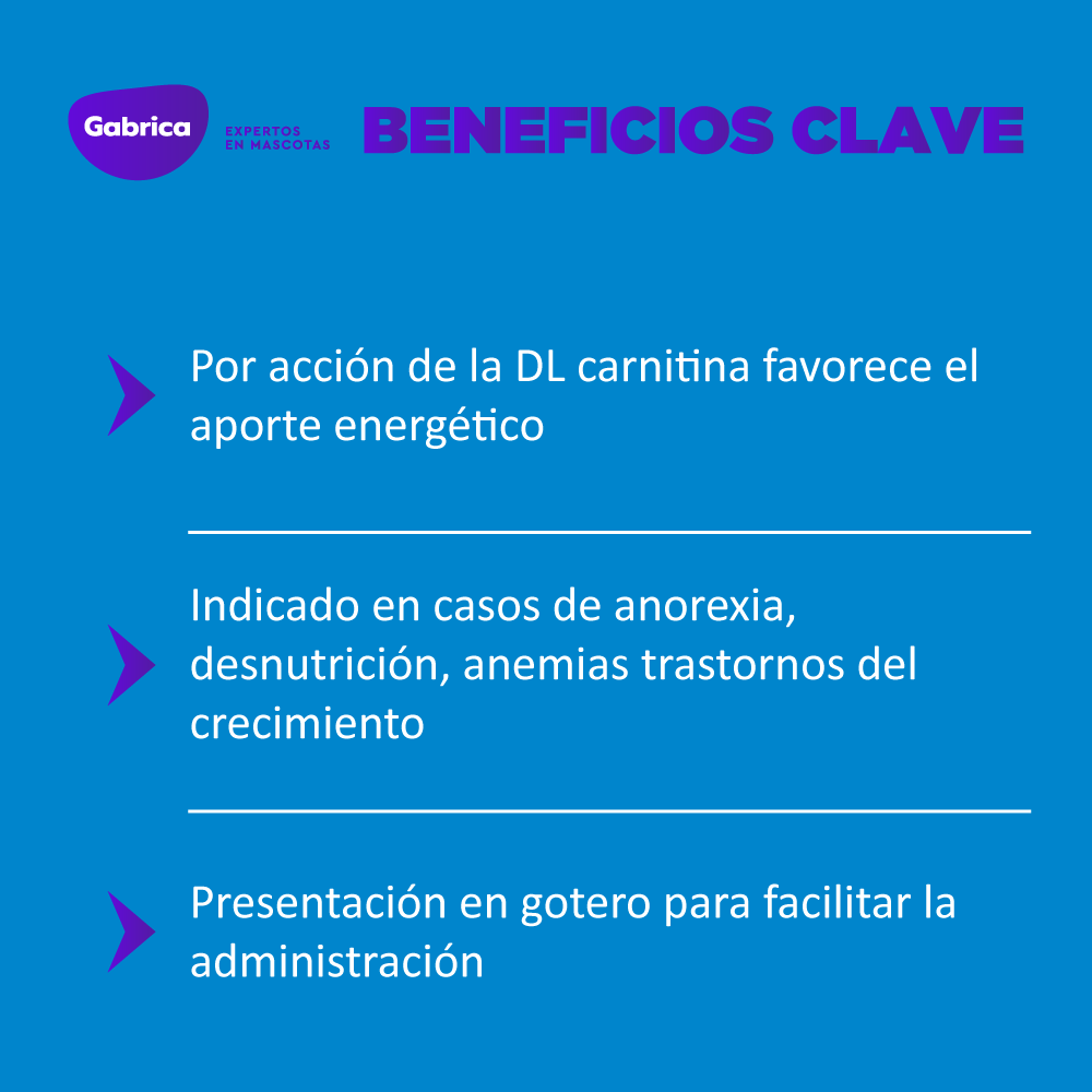 Apetil Estimulante del Apetito Solución Oral 10 ml 4 Apetil estimulante del apetito solución oral 10 ml
