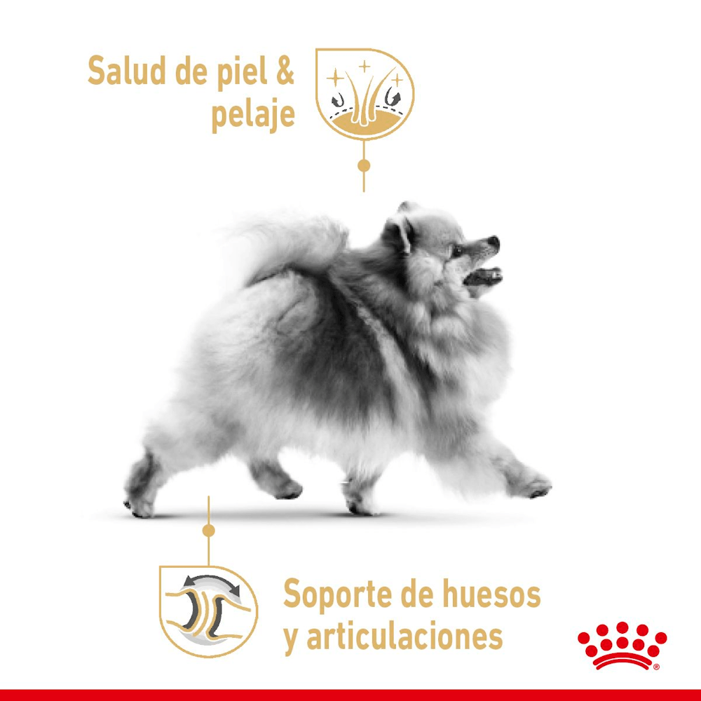 Royal Canin Pomeranian Adult Loaf Perro (Lata 85 g) 5 Royal Canin Pomeranian Adult Loaf lata 85 g