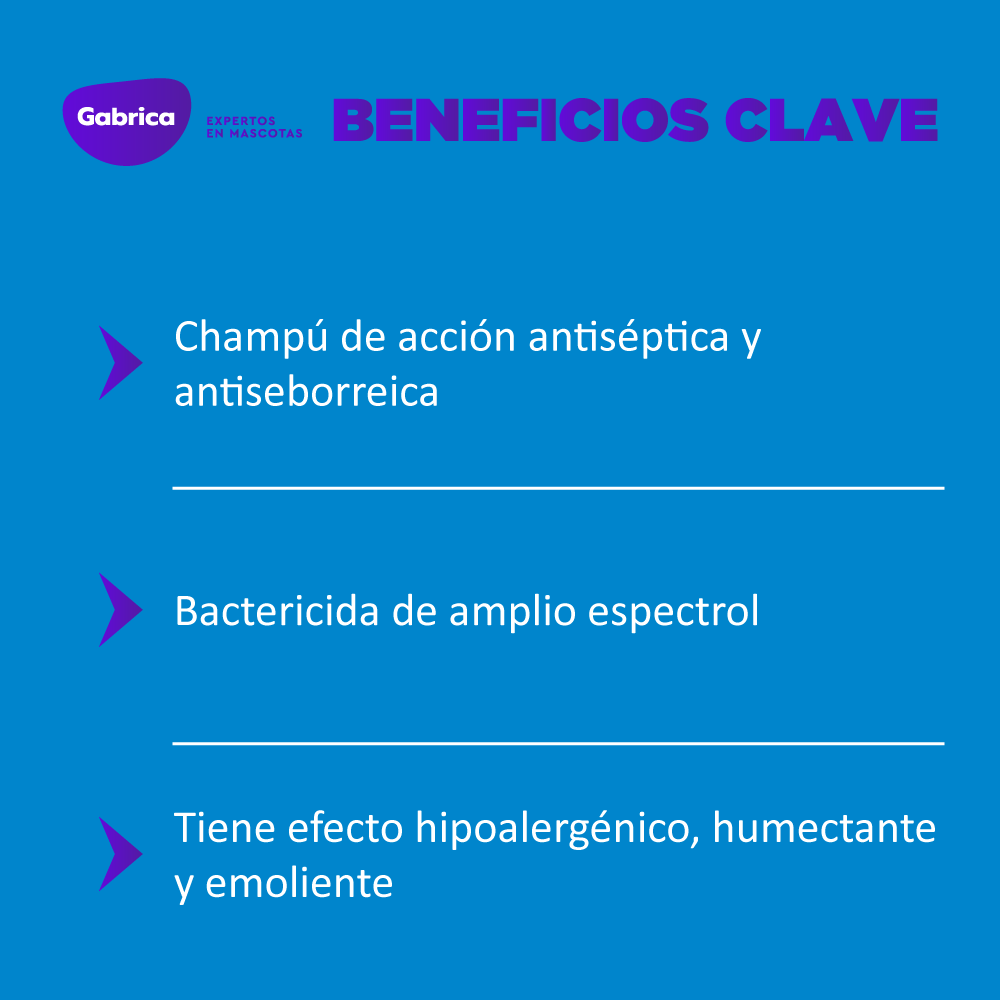 Dermoholliday Champú Antiséptico y Antiseborreico 250 ml 3 Dermoholliday champú antiséptico y antiseborreico 250 ml