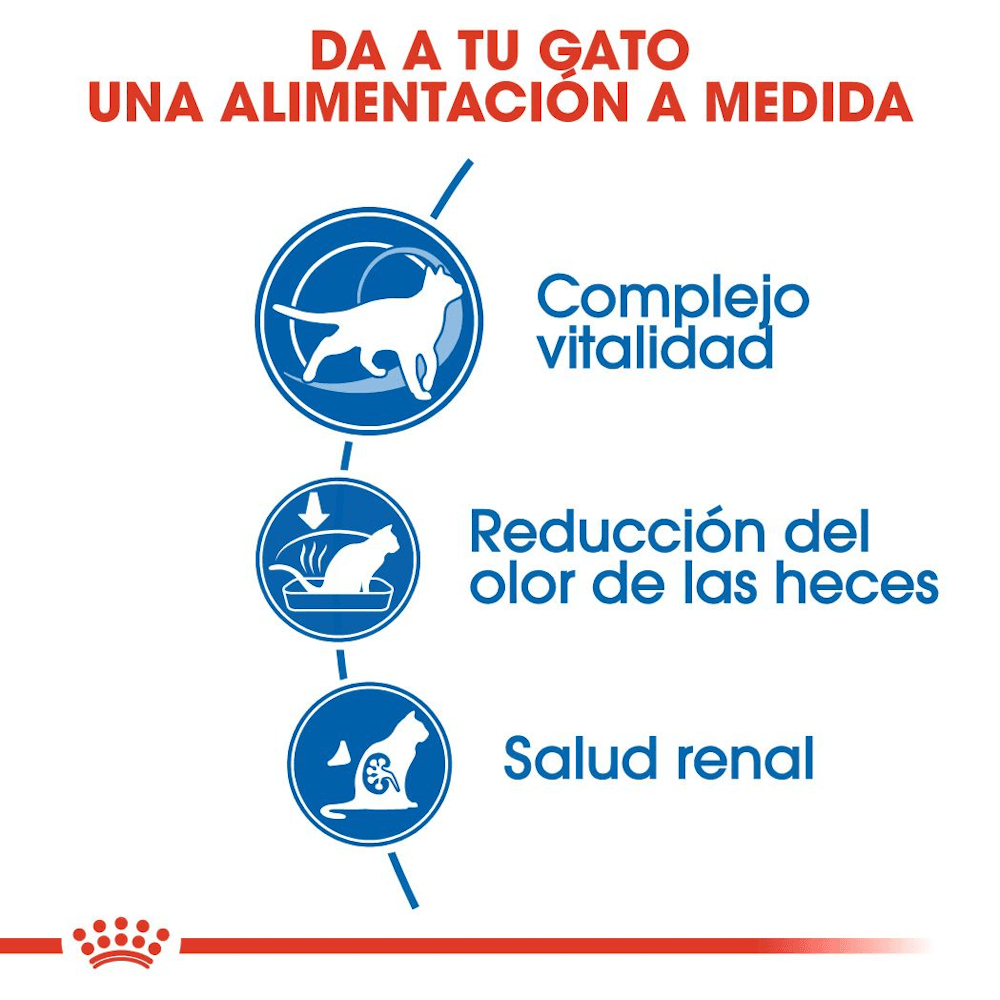 Royal Canin Feline Health Indoor 7+ Gato 1,13 kg 5 Royal Canin Feline Health Indoor 7+ para gato 1,13 kg