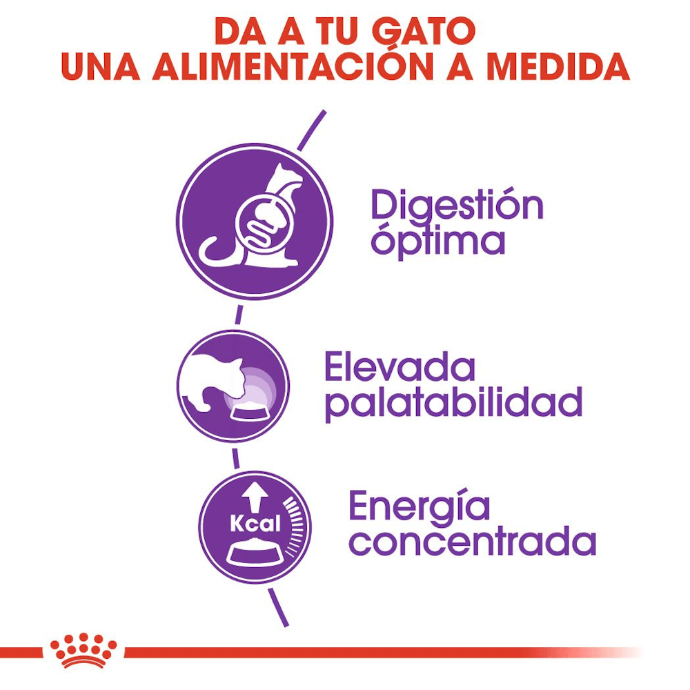 Royal Canin Feline Sensible 33 Gato Adulto 2 kg 2 Royal Canin Feline Sensible 33 para gato adulto 2 kg