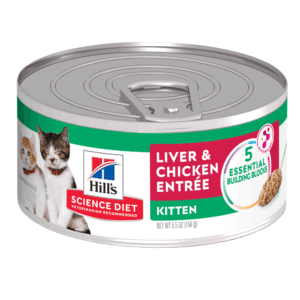 Hill's Science Diet Kitten hígado y pollo lata 5,5 oz