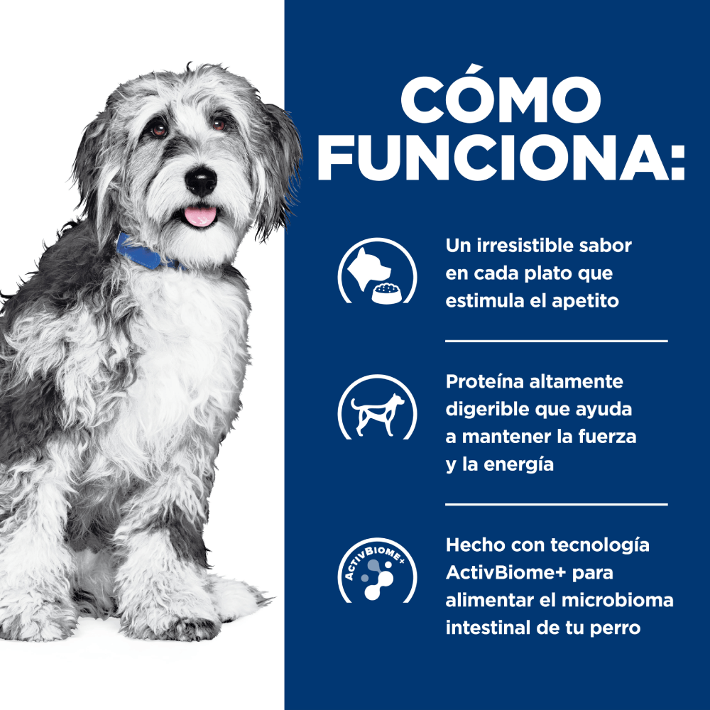 Hill's Prescription Diet ONC Care Perro 2,7 kg 5 Hill's Prescription Diet ONC Care perro 2,7 kg
