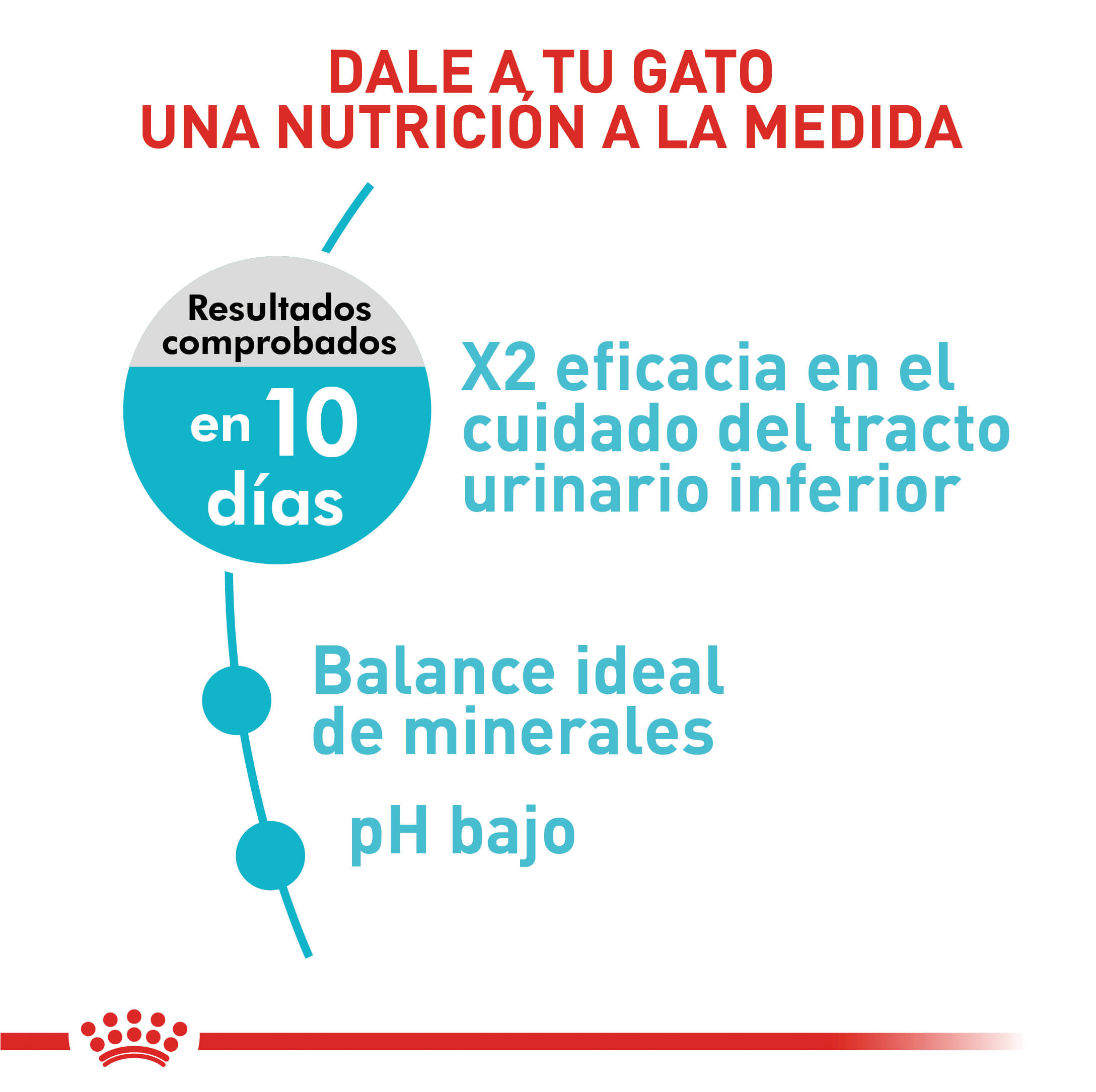 Royal Canin Feline Urinary Care Gato Adulto 2 Royal Canin Feline Urinary Care gato adulto 2 kg