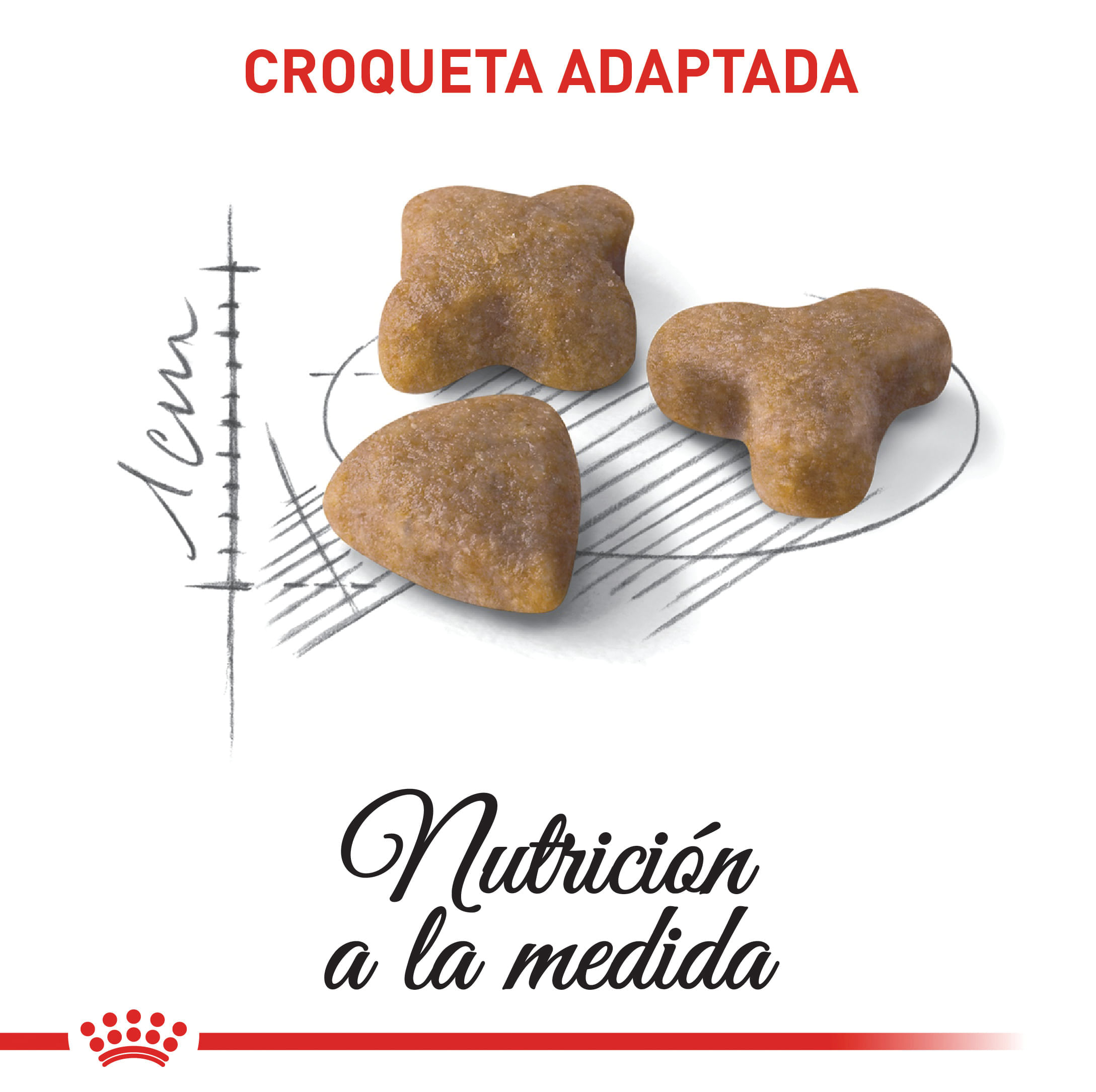 Royal Canin Feline Sensible 33 Gato Adulto 2 kg 3 Royal Canin Feline Sensible 33 para gato adulto 2 kg
