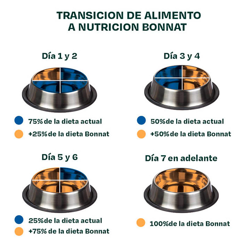 Bonnat Veterinary Diet Soporte Renal Gato - 2 kg 5 Bonnat Veterinary Diet Soporte Renal Gato - 2 kg — imagen 5