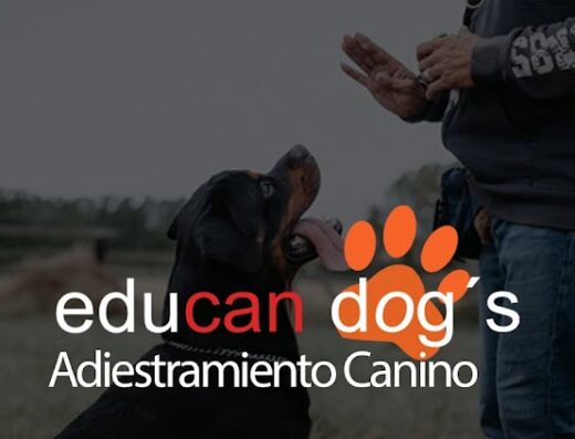 Adiestramiento canino – Educan Dog´s