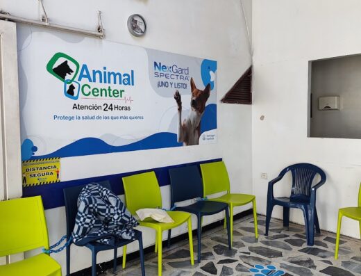 Animal Center Clínica Veterinaria
