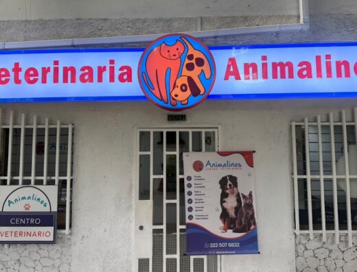 Animalinos Centro Veterinario