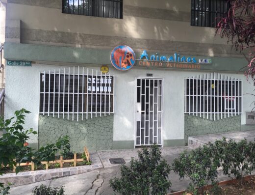 Animalinos Centro Veterinario