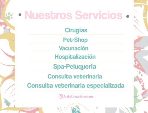 Asalia Clínica Veterinaria
