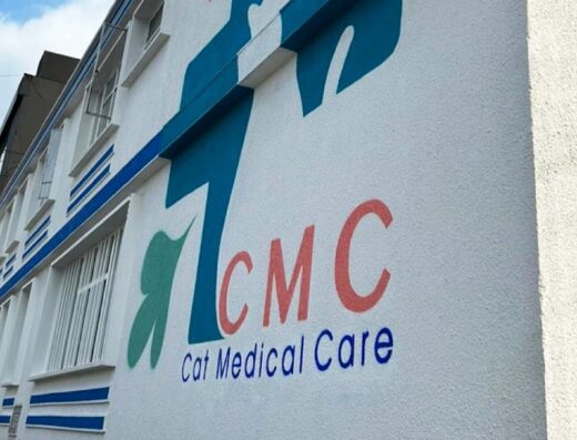 Cat Medical Care. Veterinaria para Gatos