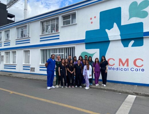Cat Medical Care. Veterinaria para Gatos