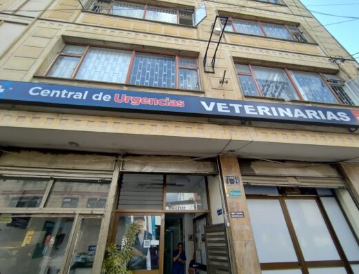 Central de Urgencias Veterinarias