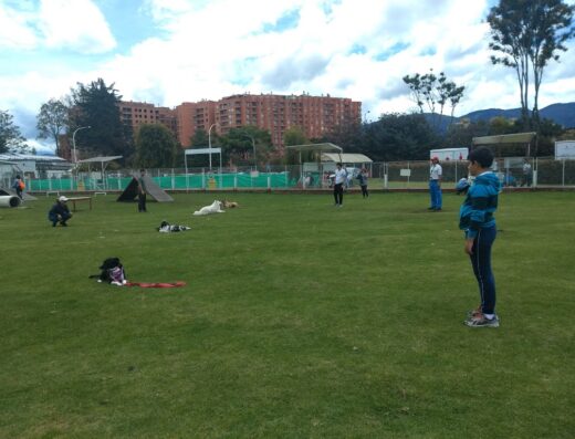 Centro Canino Cruz Roja Bogotá