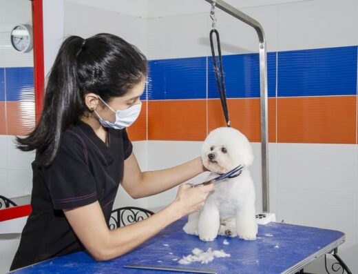 Centro Clínico Veterinario los Andes