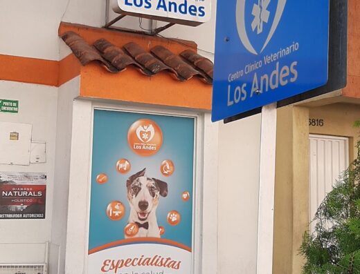 Centro Clínico Veterinario los Andes