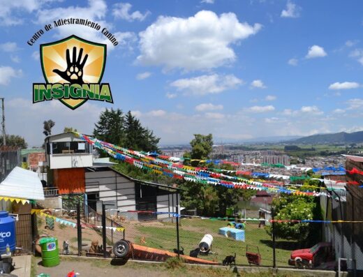 Centro de Adiestramiento Canino Insignia