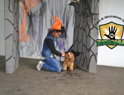 Centro de Adiestramiento Canino Insignia