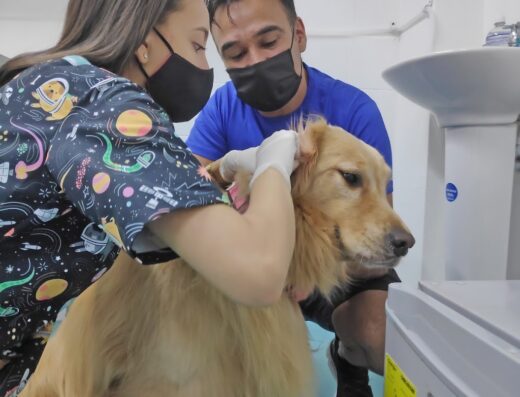 Centro Veterinario Envigado