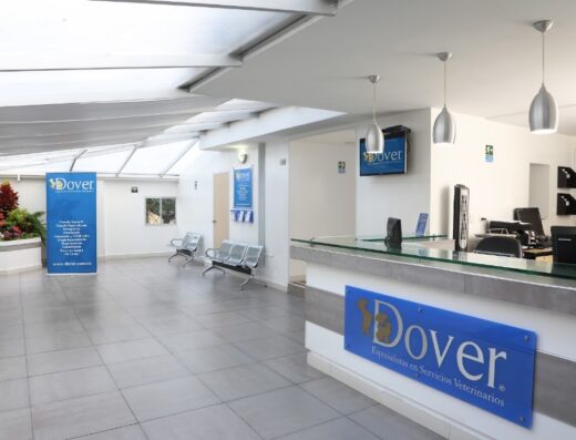 Clinica Dover S.A.S