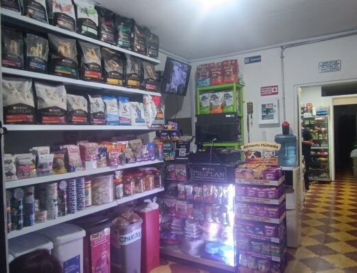 Clínica Veterinaria Animal City Envigado