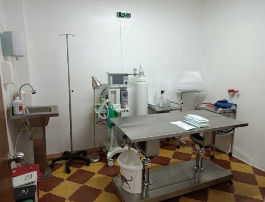 Clínica Veterinaria Animal City Envigado