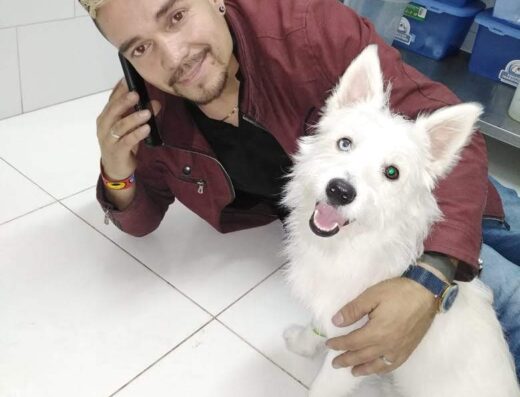 Clinica veterinaria bello