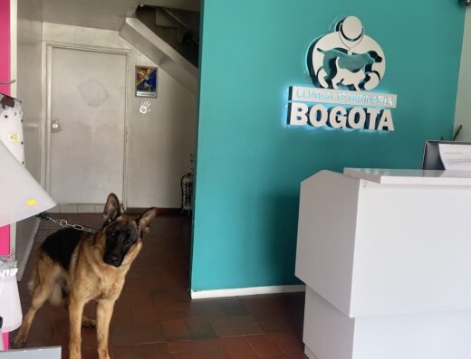 Clínica Veterinaria Bogotá