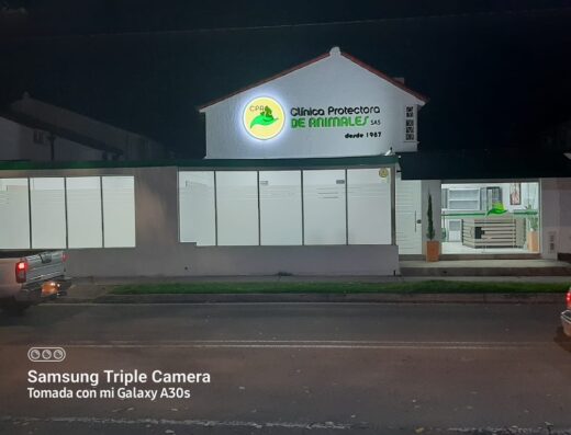 Clínica Veterinaria CPA – Sede Magdala – Urgencias 24 horas – Bogotá