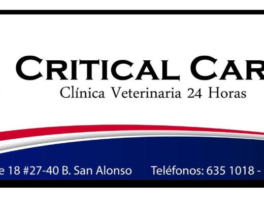CLÍNICA VETERINARIA CRITICAL CARE