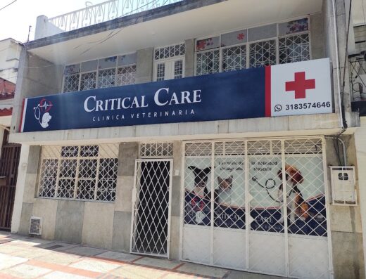 CLÍNICA VETERINARIA CRITICAL CARE