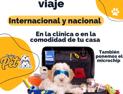 Clínica veterinaria Doctora pet