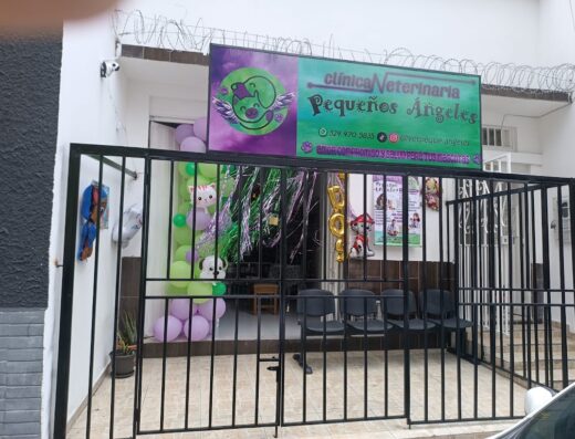 Clínica Veterinaria Pequeños Angeles