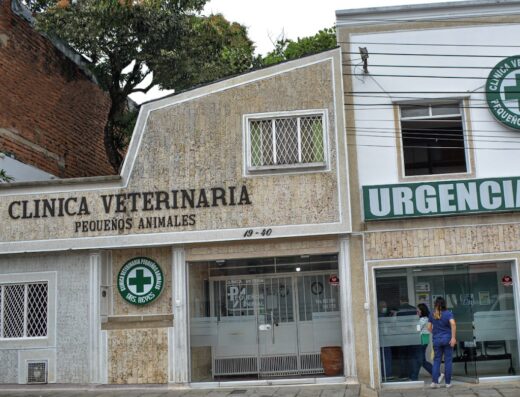 Clínica Veterinaria Pequeños Animales