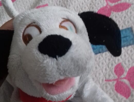 DE PERROS Y GATOS