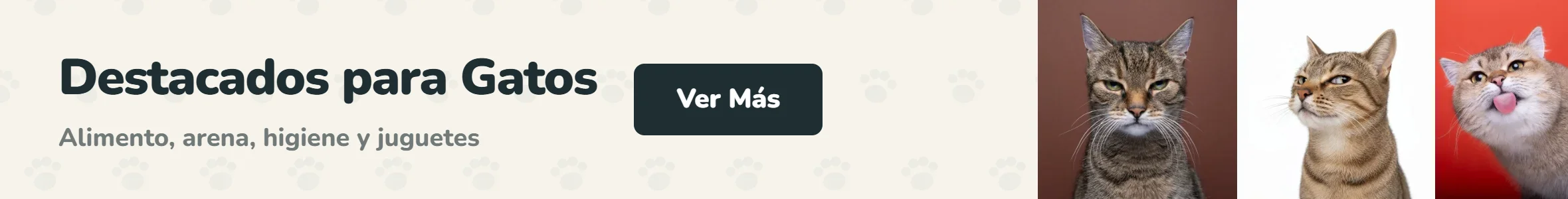 Tres gatos atigrados sobre fondos marrón, blanco y rojo. Destacados para gatos: alimento, arena, higiene y juguetes en Parche Peludo
