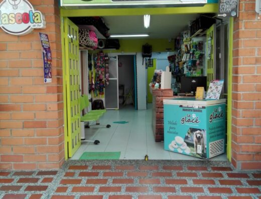 Don Mascota del Sur