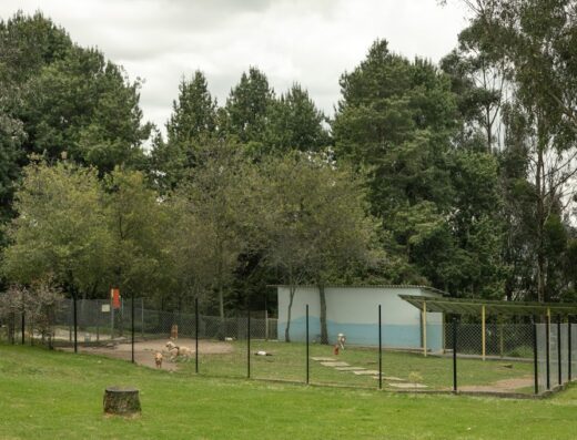 El Bosque Canino sas