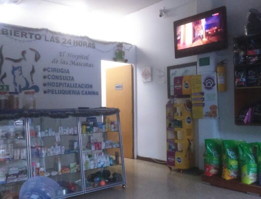 El Hospital de las Mascotas
