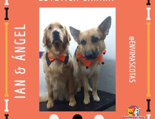 Envimascotas, Clínica Veterinaria en Envigado