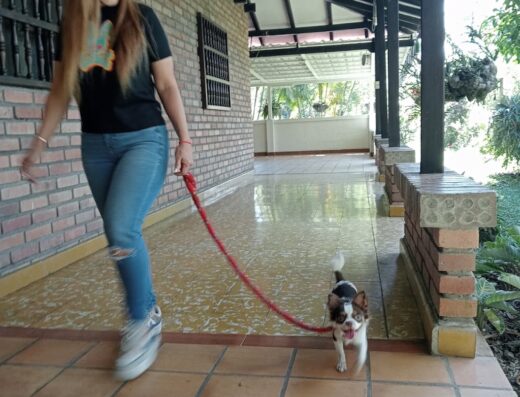 Etólogo Canino – Stiven López