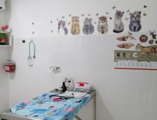 Fauna Centro Veterinario
