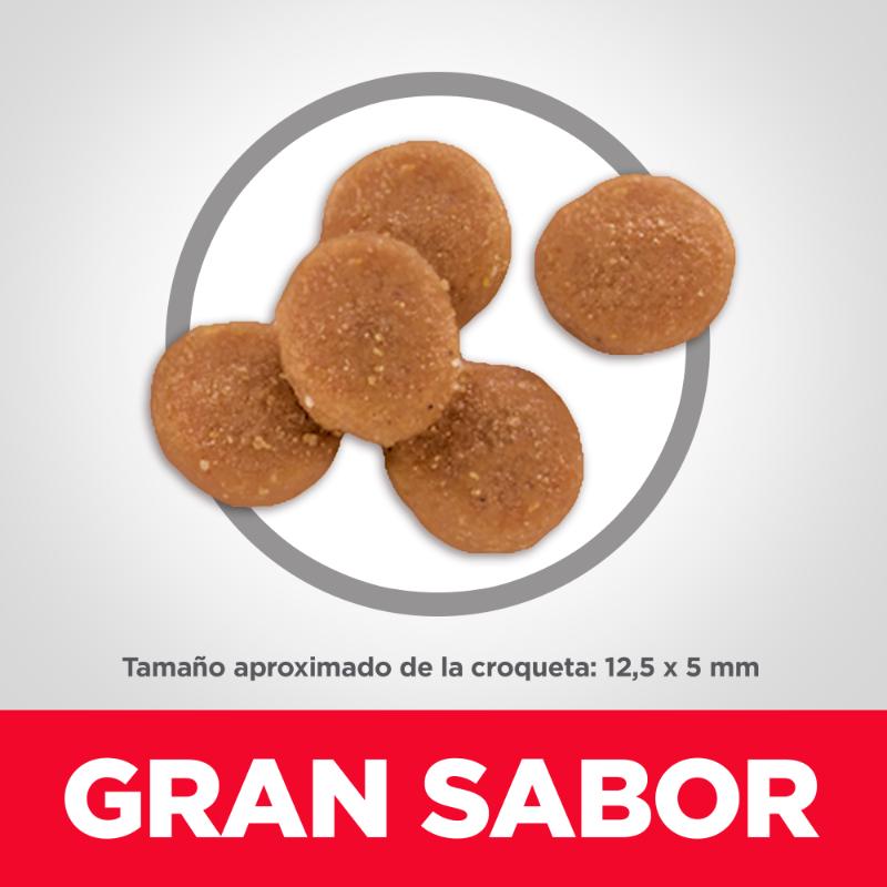Hill's Science Diet Piel y Estómago Sensible Gato - 1,37 kg 6 Hill's Science Diet Piel y Estómago Sensible Gato - 1,37 kg — imagen 6
